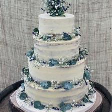 Semi Naked Cake with Rustic Foliage